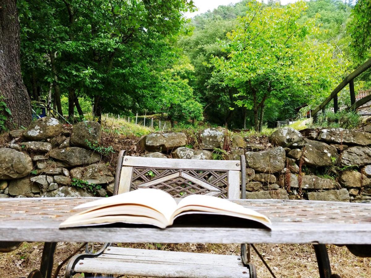 Hotel Agricamping Ponteraggio N.1 Dolceacqua Esterno foto