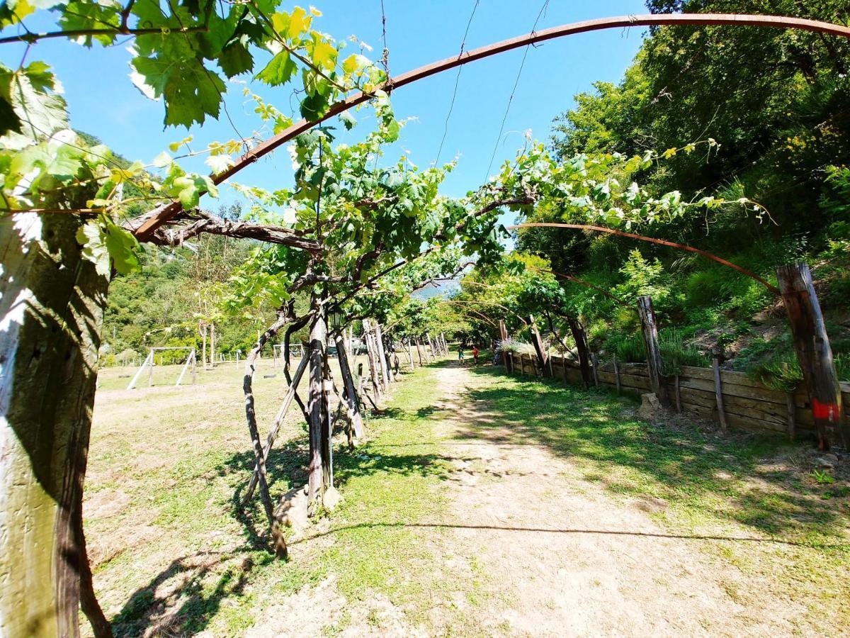 Hotel Agricamping Ponteraggio N.1 Dolceacqua Esterno foto