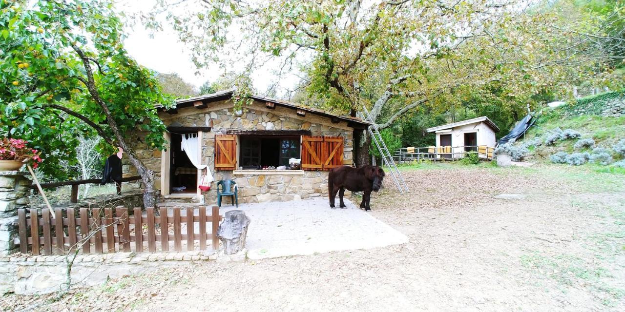 Hotel Agricamping Ponteraggio N.1 Dolceacqua Esterno foto