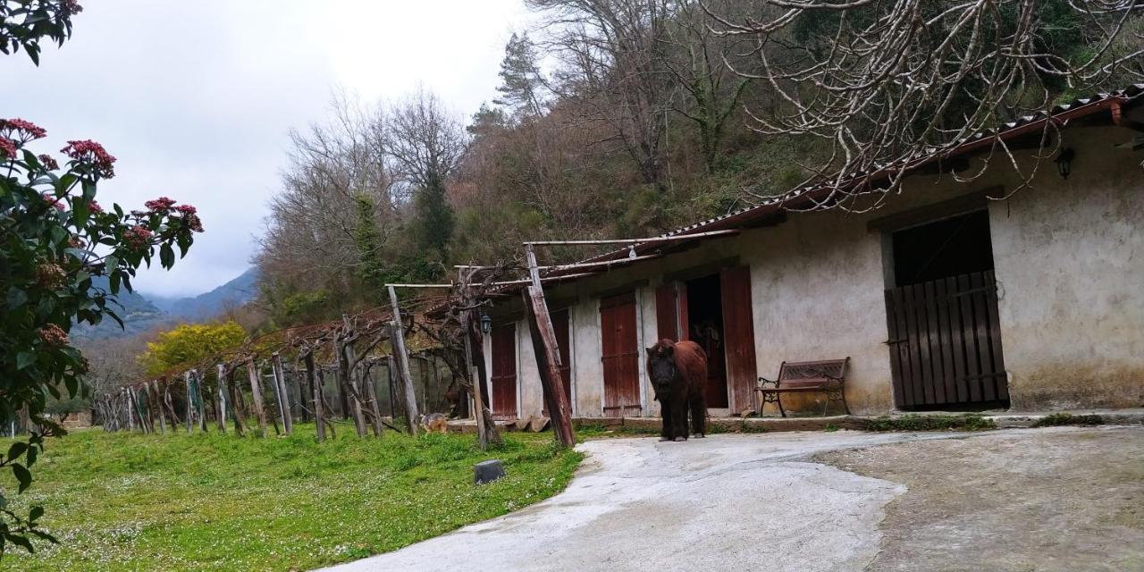 Hotel Agricamping Ponteraggio N.1 Dolceacqua Esterno foto